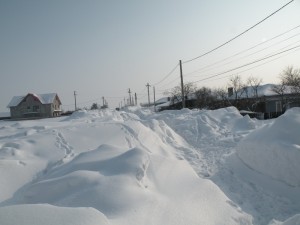 DSCN8231
