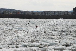 dunarea (2)