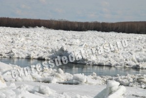 dunarea (20)