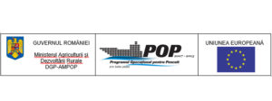 pop1