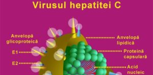 hepatita_c_virus_01